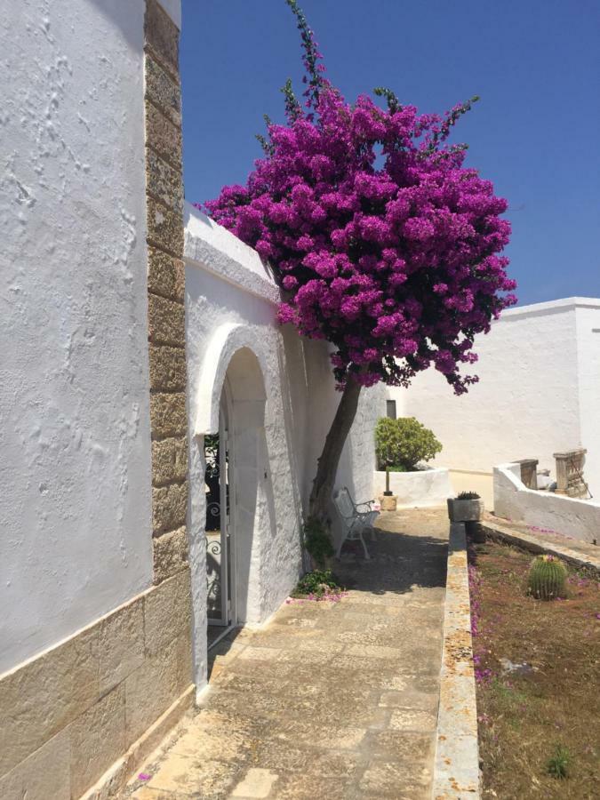 Masseria Rienzo Ostuni Kültér fotó