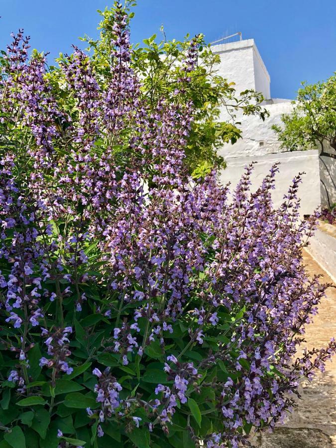 Masseria Rienzo Ostuni Kültér fotó